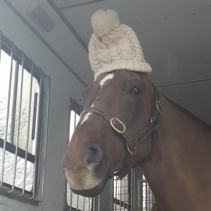 Ludo and his woolly hat!